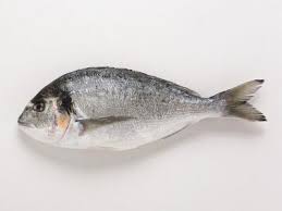 Deniz Çipura (450 - 500 gr)